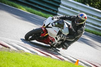 Middle Group Red Bikes